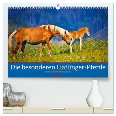 Die besonderen Haflinger-Pferde (hochwertiger Premium Wandkalender 2027 DIN A2 quer), Kunstdruck in Hochglanz