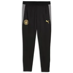Puma, Herren, Sporthose, MCFC Training Pants w/ pockets (L), Schwarz