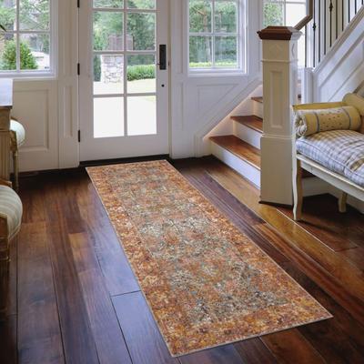 Amer Rugs Ethereal Vintage Bordered Area Rug
