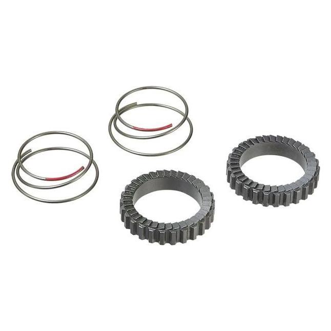 Ritchey WCS Zeta/Zeta GX Sperrklinken-Ring + Federn (33117202)