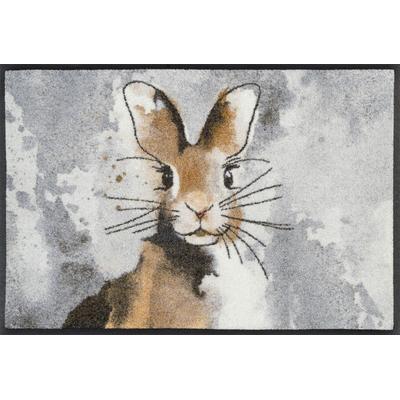 Fußmatte "Hopps" Gr. 15, braun (braun, grau), B:50cm H:7mm L:75cm, Kunstfaser, WASH+DRY BY KLEEN-TEX, Teppiche, Fußmatte, Schmutzfangmatte, rutschhemmend, In- und Outdoor geeignet, waschbar