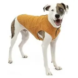Kurgo Core Pullover für Hunde Heather Orange Grösse - M (M, Hundepullover), Hundemantel