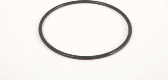 Bestway O-ring voor zandfilter (niet geschikt voor 530 gal)