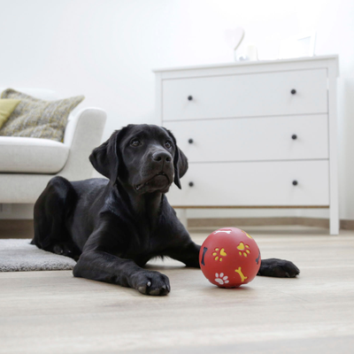 PetsAreLife Interactive Dog Treat Dispensing Chew Ball Durable Rubber Pet Toy red diameter 11cm