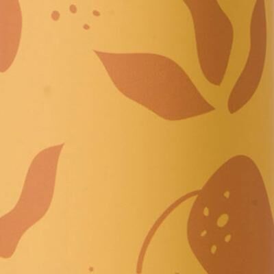 Saro Liquid Thermos 16.9 fl oz.