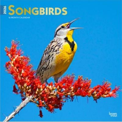 Songbirds 2026 12 X 24 Inch (Hanging) Monthly Square Wall Calendar Foil Stamped Cover Plastic-Free