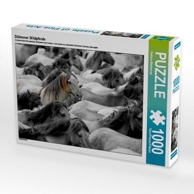 CALVENDO Puzzle Dülmener Wildpferde | 1000 Teile Lege-Größe 64x48cm Foto-Puzzle für glückliche Stunden