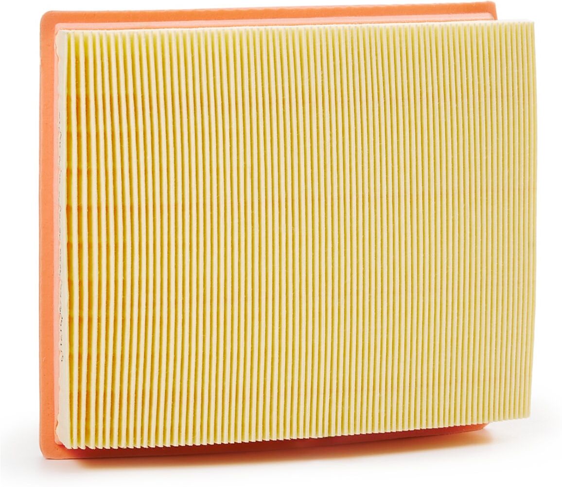 RIDEX PLUS 8A0269P Luftfilter