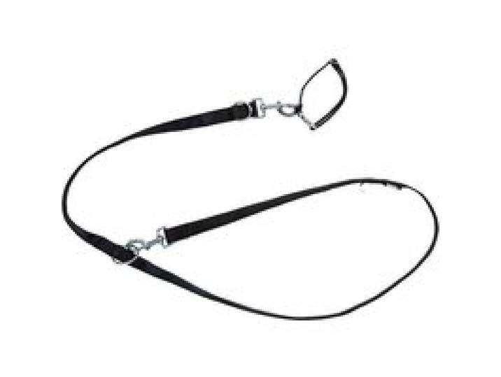 ZOOFARI® Collier et laisse pour chiens (noir, M)