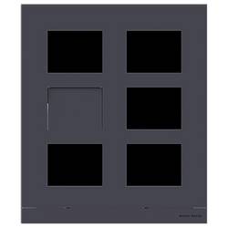 Busch-Jaeger 2TMA220160B1012 Frontplatte 2-Draht Frontblende