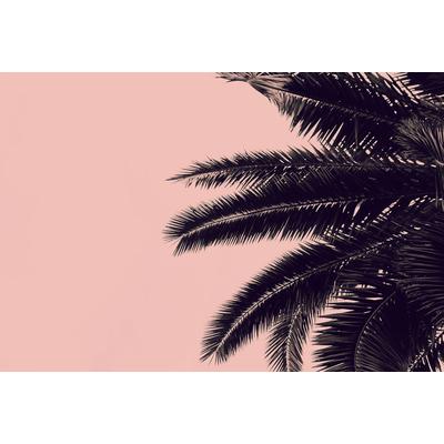 Fototapete LIVING WALLS "ARTist Palm Tree", rosa (rosa, schwarz), B:4m L:2,7m, Vlies, Tapeten, Vlies, Wand, Schräge