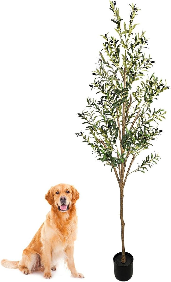 Realistische Kunstplant Olijfboom - Groen - Hoogte: 210 cm
