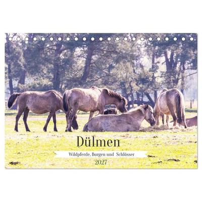 Dülmen - Wildpferde, Burgen und Schlösser (Tischkalender 2027 DIN A5 quer), CALVENDO Monatskalender