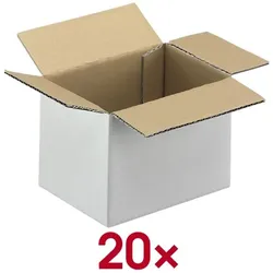 Nestler Wellpapp-Faltkartons 16/19/13,7 cm 20 Stück weiß, 16x13.7x19 cm