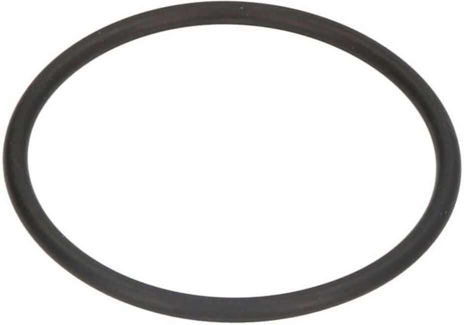 Dichtung, Thermostat ELRING 382550