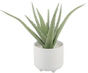Flora Bunda "14"" Aloe in 6"" Barcode Footed Ceramic"