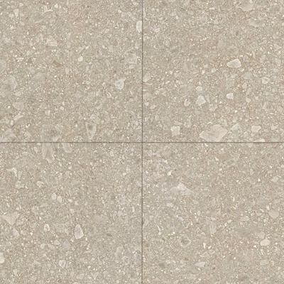 The Tile Life Pantheon Terrazzo 24 x 24 Porcelain Floor and Wall Tile
