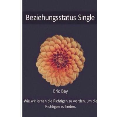 Beziehungsstatus Single, Taschenbuch von Eric Bay, Epubli, 978-3-7450-3062-4