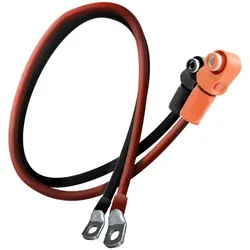 Liontron Kabelsatz für LX48-100 Speicher 2x2 Meter 25mm2