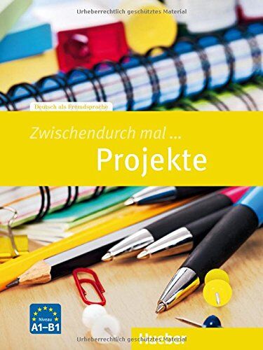 Marion Hetzel - Zwischendurch mal ... Projekte: Deutsch als Fremdsprache / Kopiervorlagen - Preis vom 01.10.2026 17:08:56 h