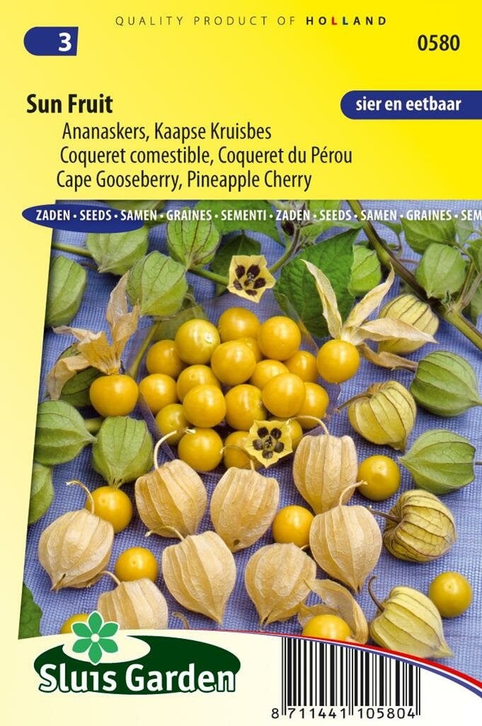 Sluis Garden Ananaskers zaden SunFruit