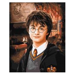 Ideyka Malen nach Zahlen - Harry Potter (68648207)