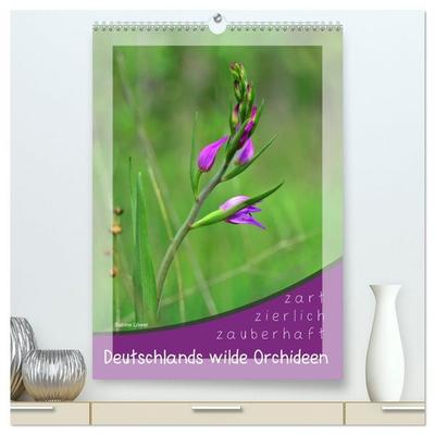 Deutschlands wilde Orchideen (hochwertiger Premium Wandkalender 2026 DIN A2 hoch), Kunstdruck in Hochglanz