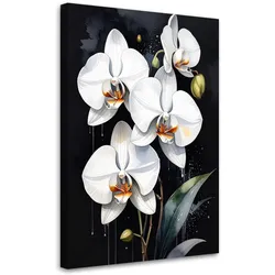LEINWANDBILD, Weiße Orchideen Blumen Pflanzen Natur