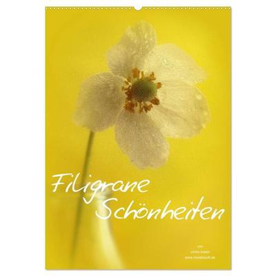 Filigrane Schönheiten 2027 (Wandkalender 2027 DIN A2 hoch), CALVENDO Monatskalender