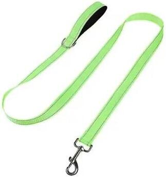 Inspired Living Reflective Dog Leash With Adjustable Nylon Lead For Safe Night Walks light Green 2.5cmx180cm