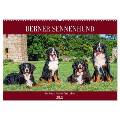 Berner Sennenhund - Der beste Freund fürs Leben (Wandkalender 2027 DIN A2 quer), CALVENDO Monatskalender
