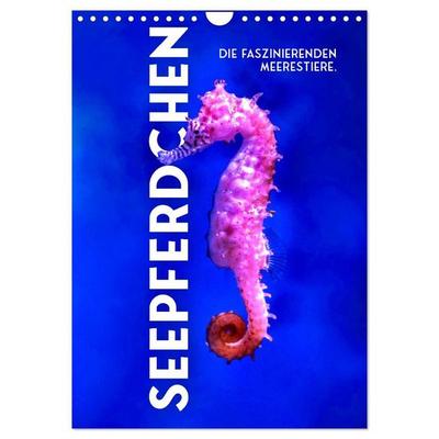 Seepferdchen - Die faszinierende Meerestiere. (Wandkalender 2027 DIN A4 hoch), CALVENDO Monatskalender