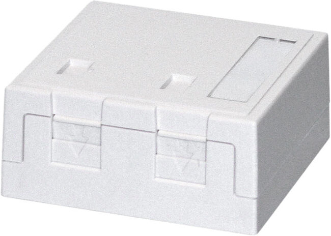 Daetwyler Boîte de montage en saillie 2x modules Keystone 68 × 65 × 30 mm (418037)