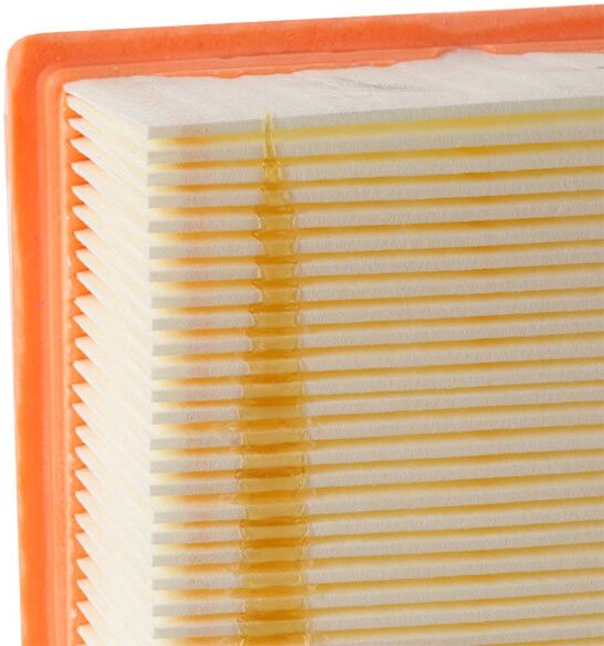 PURFLUX A1160 Air filter
