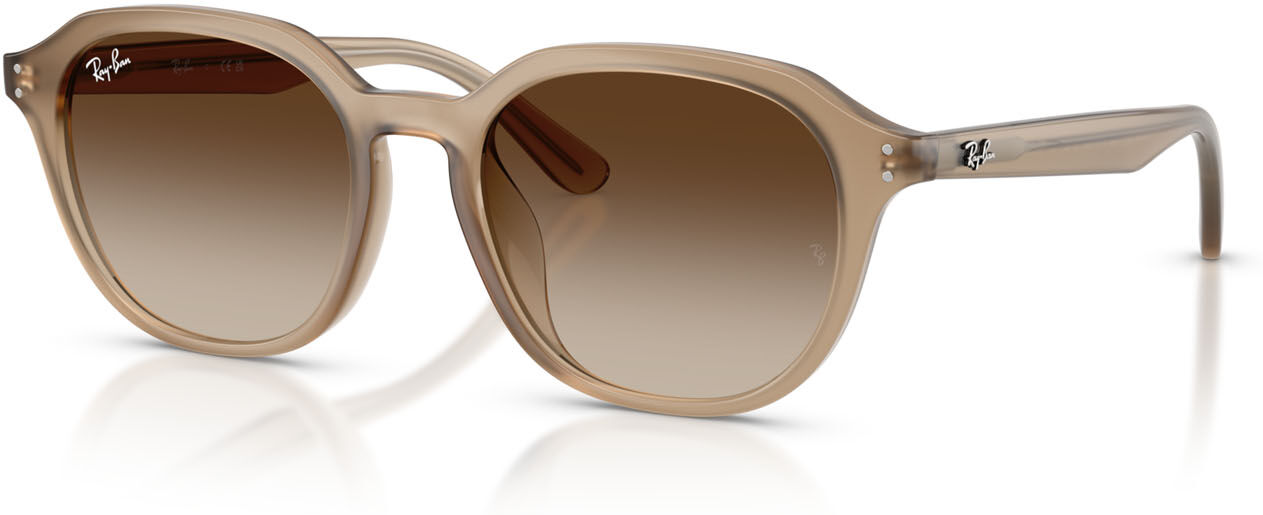 Ray-Ban 4459D (616613)