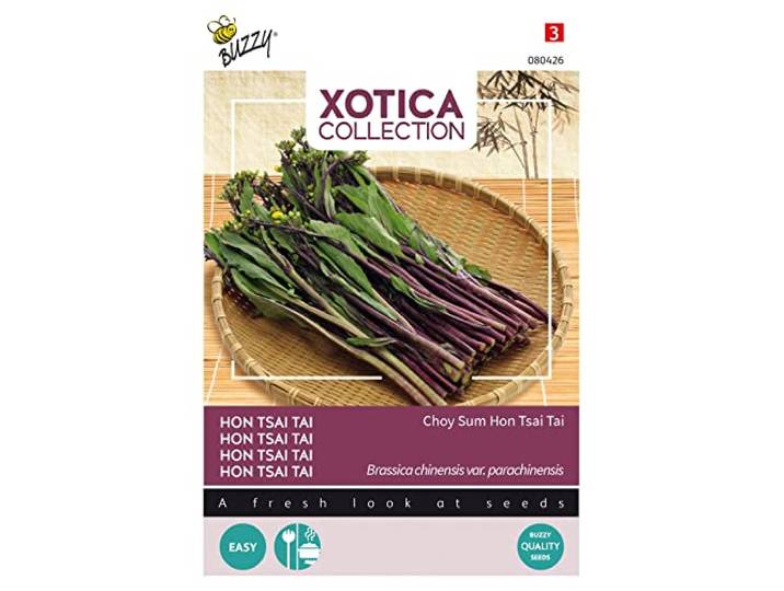 Buzzy Xotica Hon Tsai Tai - Yu Choi Sum