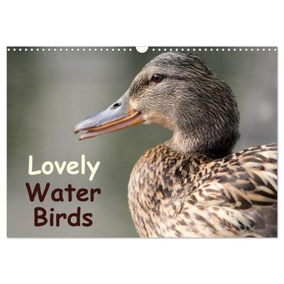 Lovely Water Birds (Wall Calendar 2026 DIN A3 landscape), CALVENDO 12 Month Wall Calendar