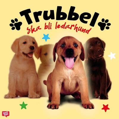 Trubbel ska bli ledarhund - Anna Bergholtz, Audio, 9789179418465