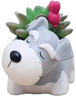 ModernMart Cute Dog Succulent Planter Pot Mini Bonsai Desk Decor For Dog Lovers a