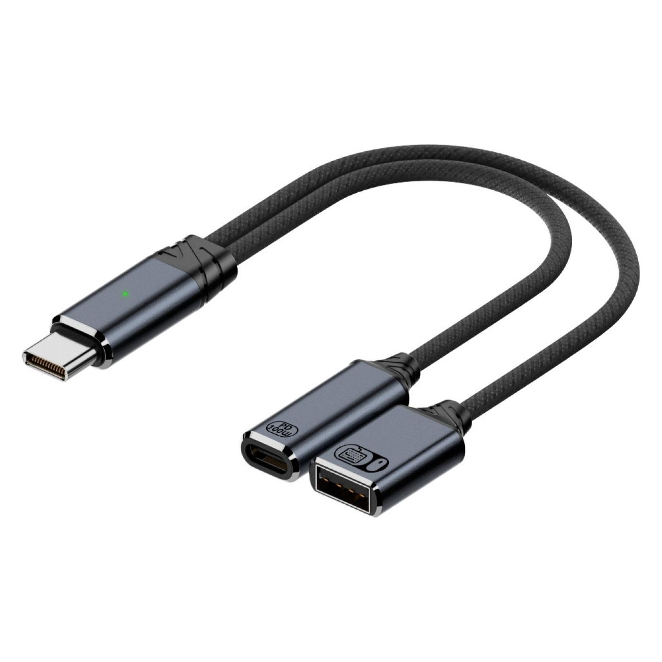 PowerGuard USB-C zu USB-A Data & Charge Adapter 100W PD, 480 Mbit/s (USB-A, USB-C) (00036725)