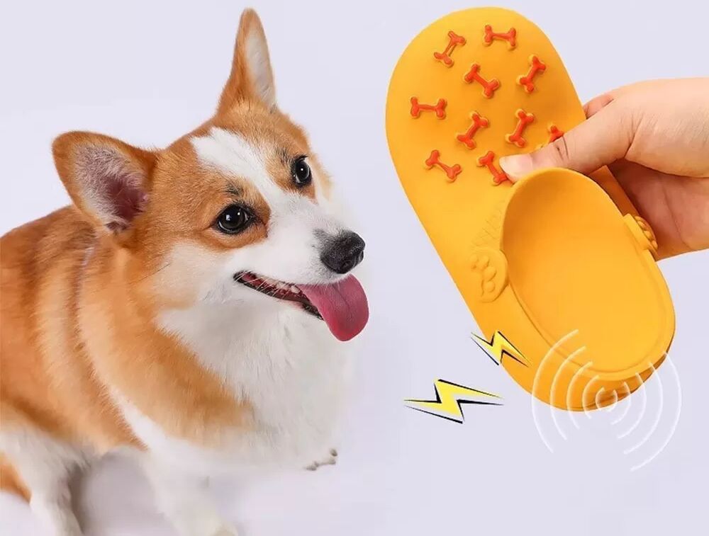 INF Jouet couineur en latex en forme de chausson pour chien - Soin dentaire et anti-ennui Vert