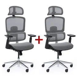 Bürostuhl  WILMOT 1+1 GRATIS, schwarze Konstruktion, grau