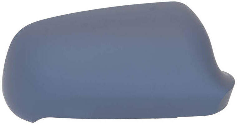TYC 302-0048-2 Wing mirror cover