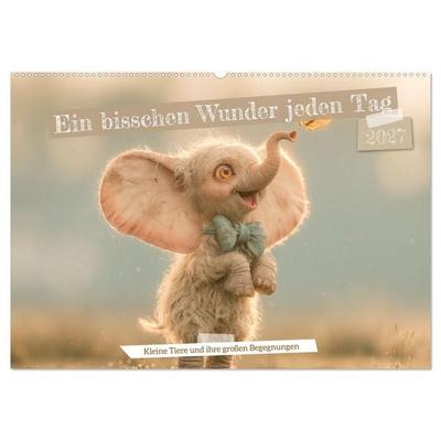 Ein bisschen Wunder jeden Tag (Wandkalender 2027 DIN A2 quer), CALVENDO Monatskalender