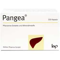 PANGEA Kapseln 120 St