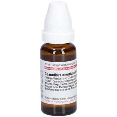 Ceanothus Americanus D 4 Dilution 20 ml