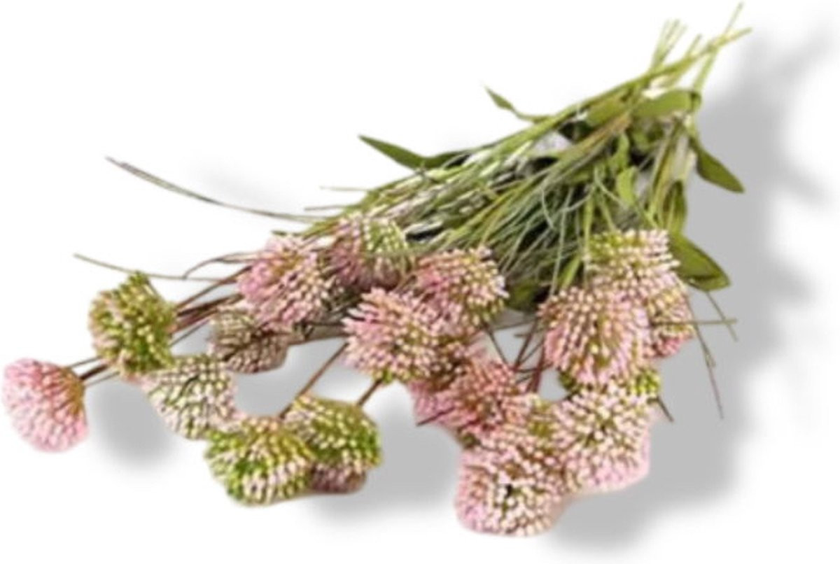 Buitengewoon Boet Kunst Tak Allium Roze