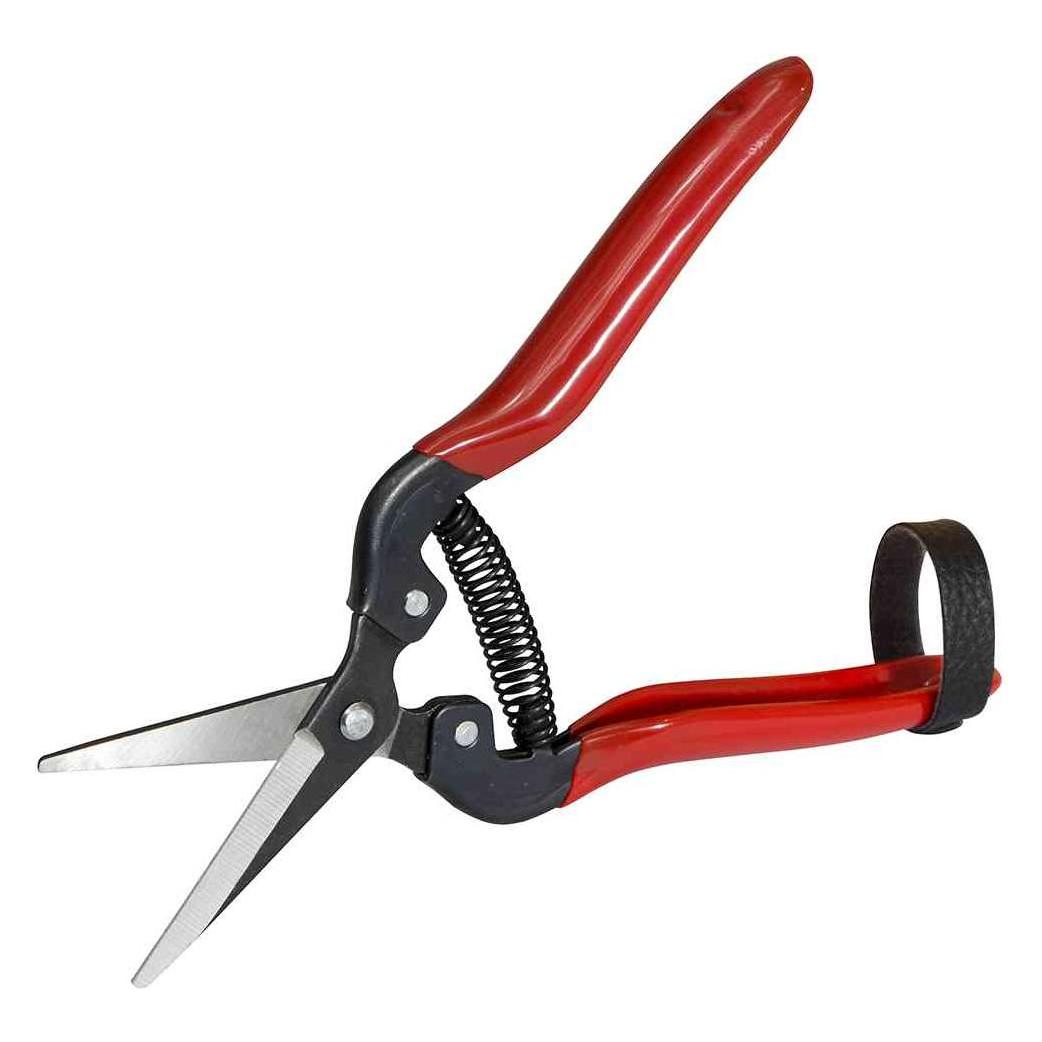 Siena Garden Premium Lese/Ernte/Blumensch (313239)