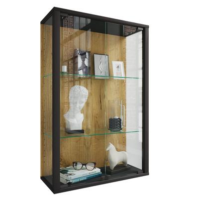 Wandregal VCM "Wandvitrine Hängevitrine Glasvitrine Glas Udina M", braun (schwarz, honig, eiche), B:60cm T:25cm, Regale, Wandregal