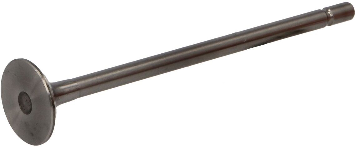 Auslassventil PARADOWSCY PHON054